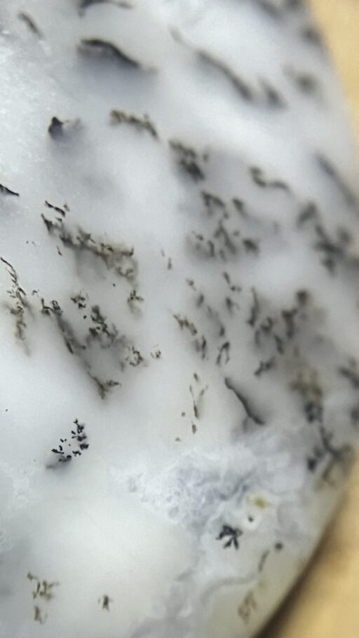 Agate dentritique – Image 2
